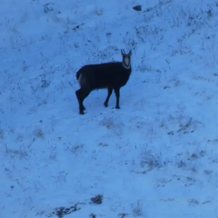 Seebergalmhuette 아파트 *