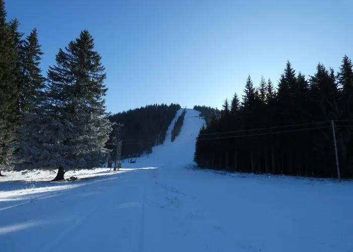 Seebergalmhuette Apartmán Turnau